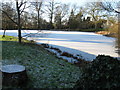 Frozen Millpond near Broadbridge Farm