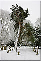 Footpath Through the Churchyard