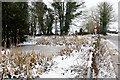 Pond beside Hazeley Road