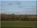 Fields at Longcot