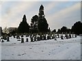 Abbey Cemetery, Elderslie