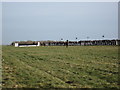 SU1345 : Larkhill Racecourse by Andrew Davis