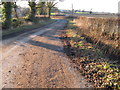 Downs Link path approaching cottages on the Itchingfield road