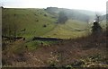 Combe below Tresham