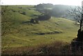 Combe below Tresham