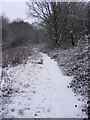 Snowy path in Coppice