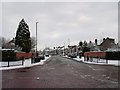 Bathway Road viewed from Green Lane