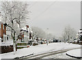 Westminster Avenue, Penn, Wolverhampton