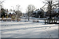 Seagulls on the ice at Long Itchington pond