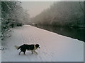 Grand Union Canal in the Snow