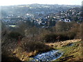 Nailsworth from The Ladder at Midday on Christmas Day 2009