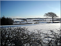 NS5750 : Snow Covered Fields by Iain Thompson