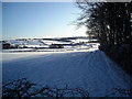 Snow Covered Fields Near Eaglesham