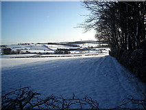 NS5751 : Snow Covered Fields Near Eaglesham by Iain Thompson