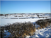 NS5851 : Snowy Fields Near Polnoon by Iain Thompson