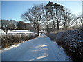 Jackton Road Under Snow