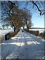 Jackton Road Under Snow