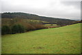 Looking towards the West Somerset Railway