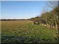 TL6172 : Soham Meadow by Hugh Venables