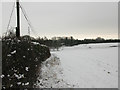 Field and hedgerow along the Eastry to Selson road