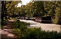 Basingstoke Canal:  Houseboats