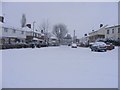 Snowy Wilkins Road