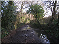 Bridleway heading southeast from Chudleigh Knighton