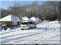 Winter trees in Oakwood Avenue