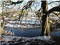 Wintry riverbank, Omagh