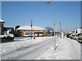 Lamppost in a snowy Littlepark Avenue