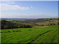 Looking down from the wolds