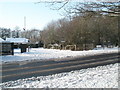 Looking across Hulbert Road into a snowy  Willowdene Close