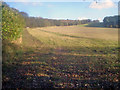 Arable land south of Abbey Wood