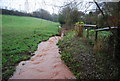 A red stream near Stogumber