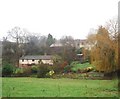 Houses on the edge of Stogumber