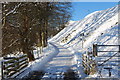 Cattle grid onto the open hill