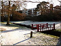 Bournemouth Gardens: red bridge and overlooking flats