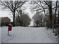 Tiverton : Path & Snow Scene