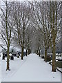 Tiverton : Tiverton Cemetery