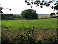 Farmland and Whiting Farm