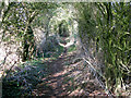 View along footpath to Whitfield