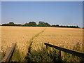 Cawston Bridleway