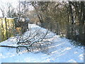 Fallen branches on the path from Bushy Lease to Park House Farm Way