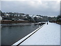 Tiverton : River Exe & Riverside Path