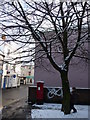 Tiverton : Westexe North, Tree & Letterbox