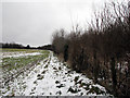 Trackbed of the Mildenhall Branch near Fen Ditton