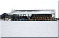 Snowy scene at Gibraltar House Farm