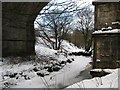 Luggie Water at Garngibboch Railway Bridge