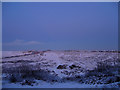 Toads Hole Valley at Dusk