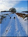 Footpath near Gilmerton